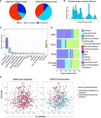 The effect of SARS-CoV-2 infection and vaccination on Th17 and regulatory T cells in a pregnancy cohort in NYC